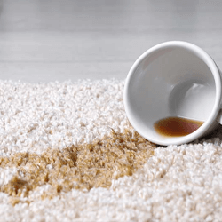 carpet-stain-removal