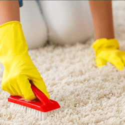 green-carpet-cleaning