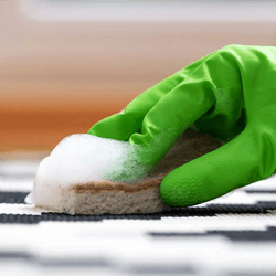 organic-carpet-cleaning